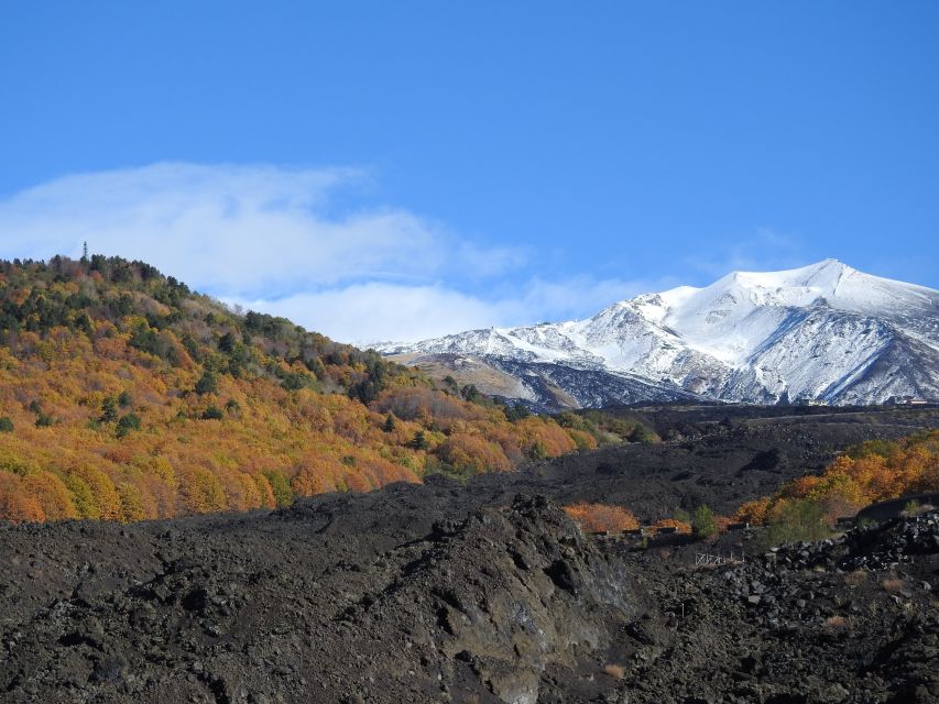 Taormina and Catania: Private guided Etna hike by cable car - Valle del Bove: the huge depression you can’t really understand until you see it