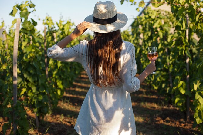 Tour Etna & Wine Tasting - Quick hits before you go
