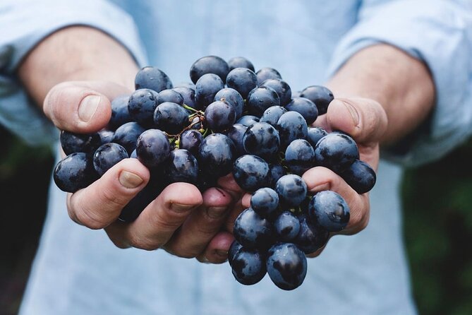 Tour Etna & Wine Tasting - Mt. Etna plus wine tasting: why this day trip works