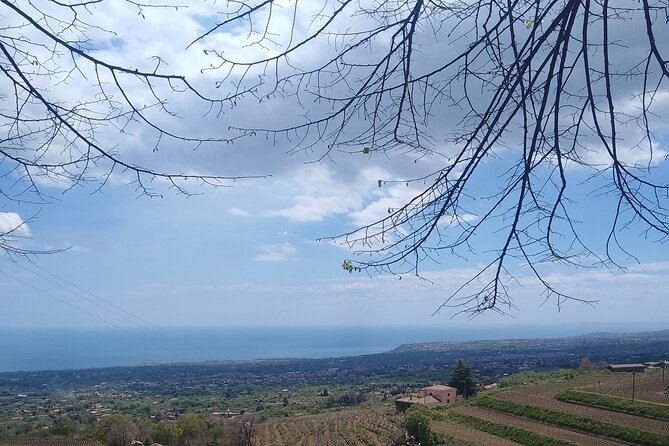 Tour two wineries of Etna wine tasting and lunch - Winery Stop 3: lunch in a cellar with Sicilian dishes and sommelier guidance