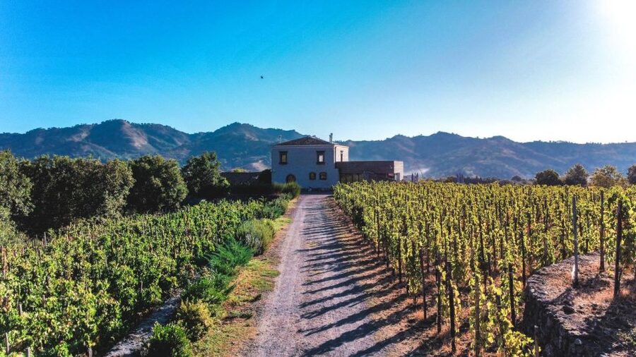 Wine tour with wine tasting - Key highlights at a glance