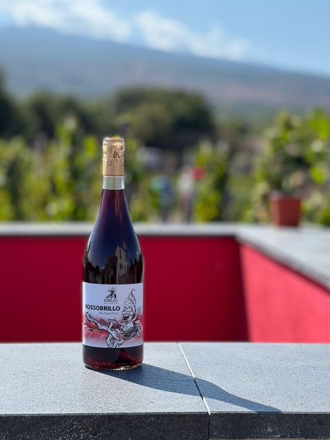 Wine tour with wine tasting - Walking the Etna vineyard: where the story becomes real