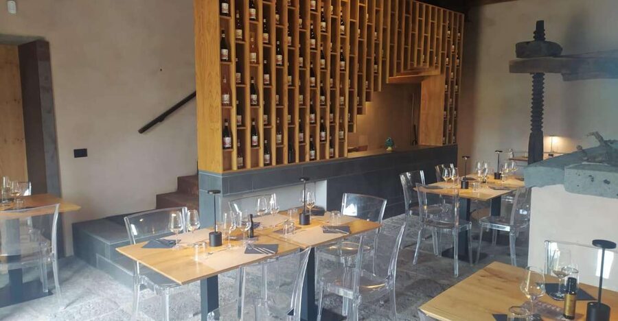 Wine tour with wine tasting - The technical tasting: 4 wines, a real sommelier, and names you’ll remember