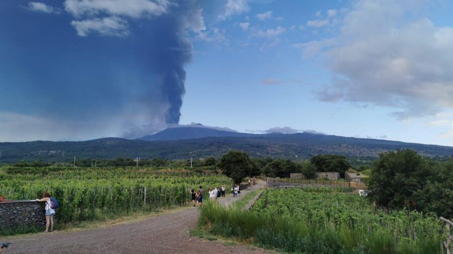 Wine tour with wine tasting - Timing and logistics in Linguaglossa (so you don’t lose the best part)