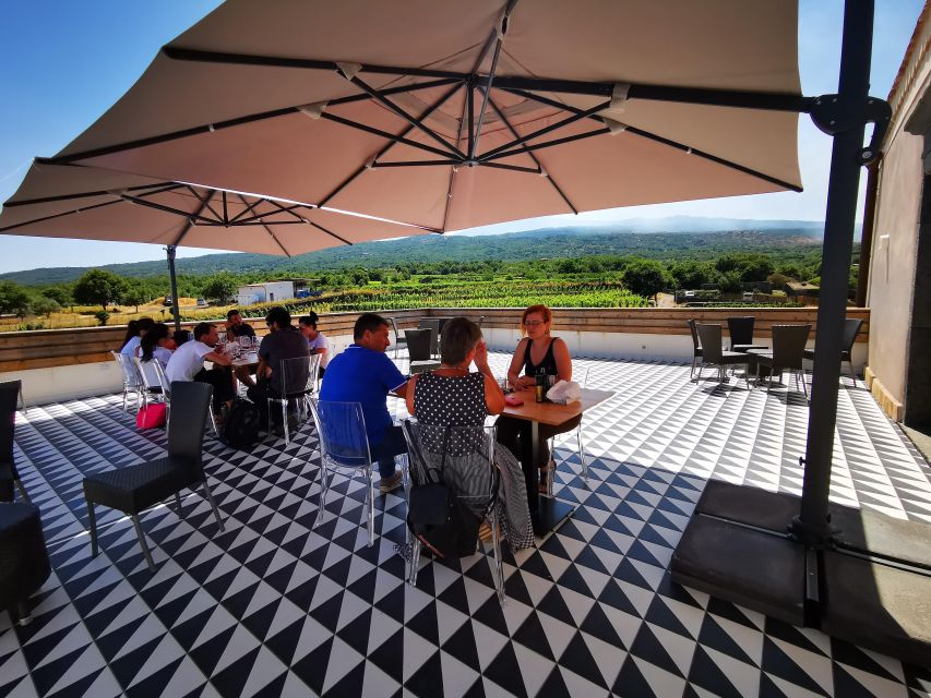Wine tour with wine tasting - Price and value: $34 for a vineyard walk plus technical tasting