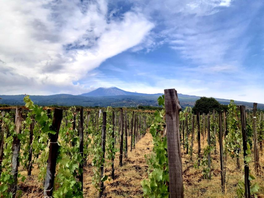 Wine tour with wine tasting - Who should book this Etna wine tour (and who might skip it)