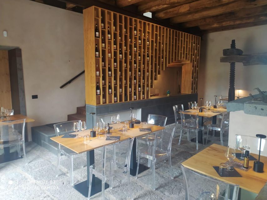Wine tour with wine tasting - Should you book the Emilio Sciacca Etna Vineyard and Palmento tasting?